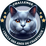 Challenge du CAC
